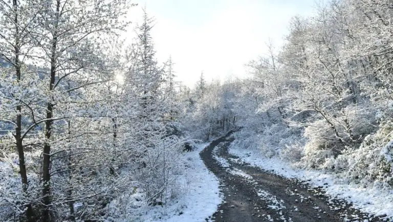 Gelées blanches météo