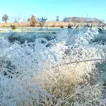 Gelées météo