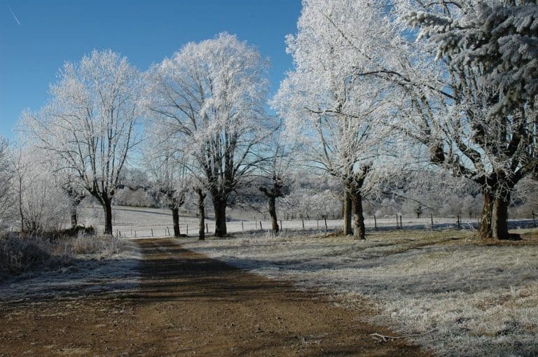 Météo gelées