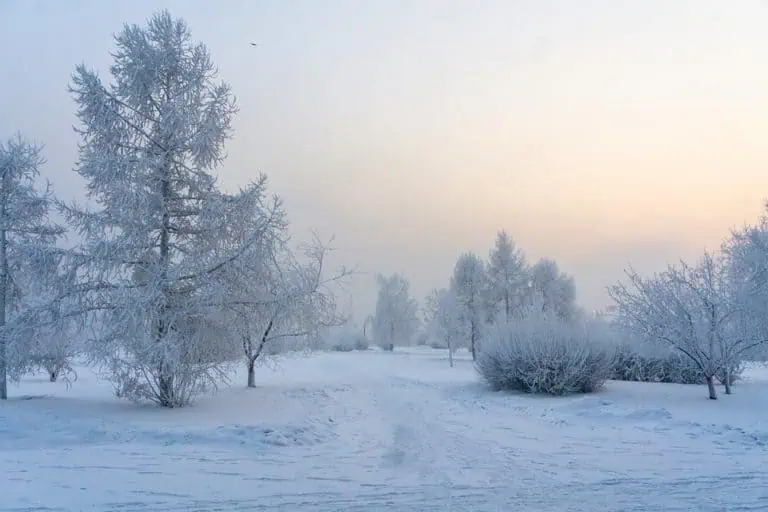 gelées météo