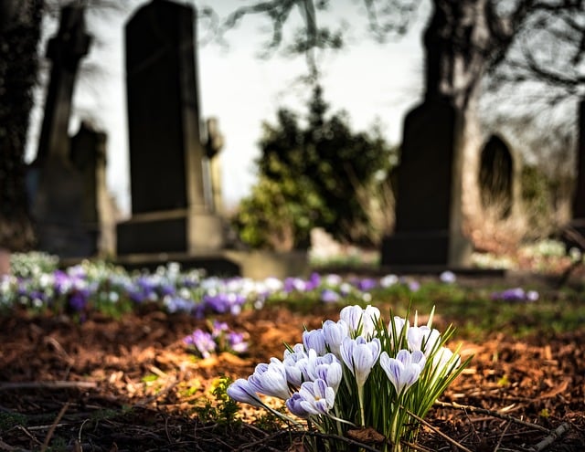 Cimetière / Tombe