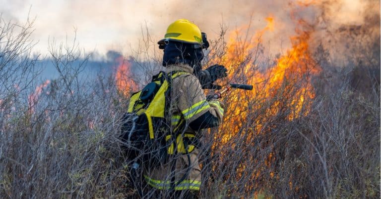 Le brûlage dirigé est une pratique complexe et hautement réglementée, destinée à réduire les risques d'incendies de forêt. Photo : Getty Image