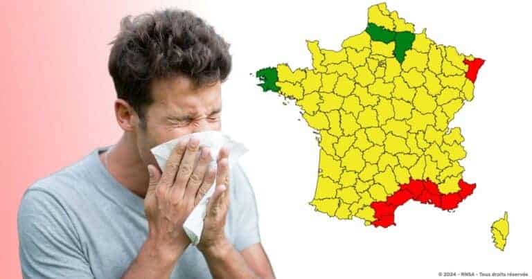 Alerte rouge aux pollens