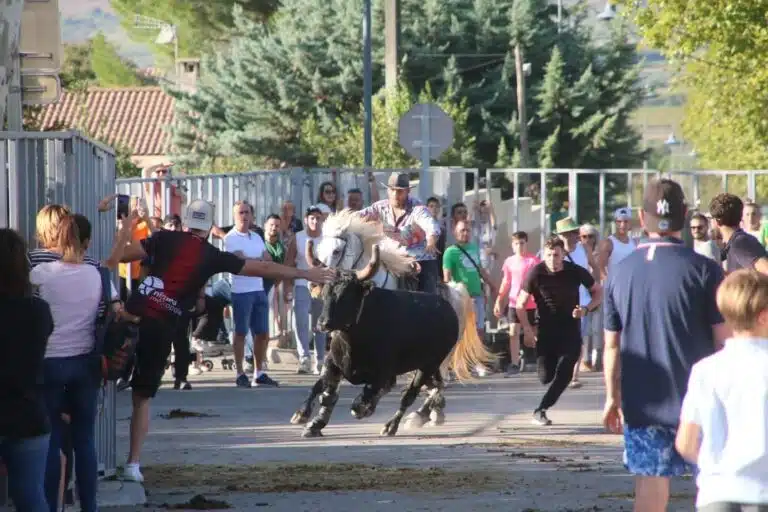 Fête Langlade