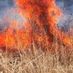incendie météo