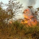 Incendie / Feu