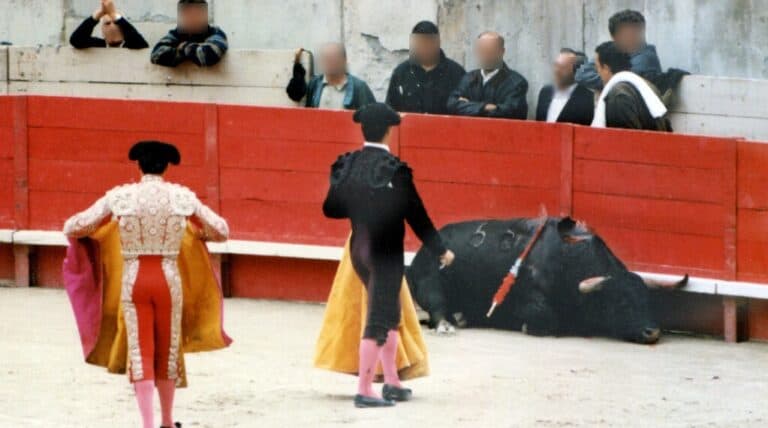 corrida