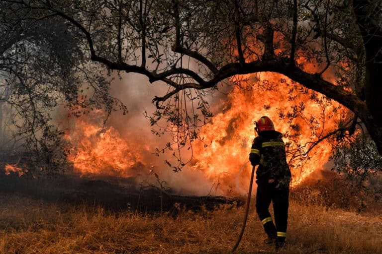 incendie météo