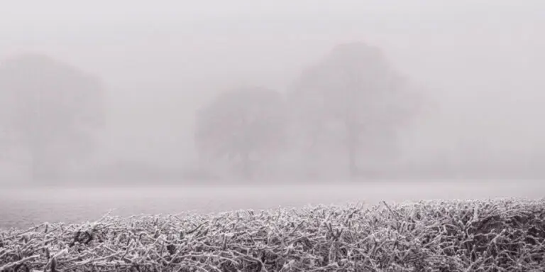 gelées météo