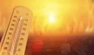 météo canicule