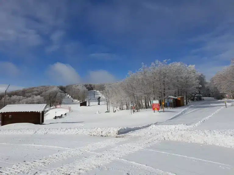 Aigoual