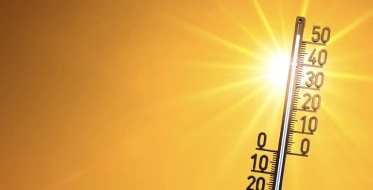 météo canicule