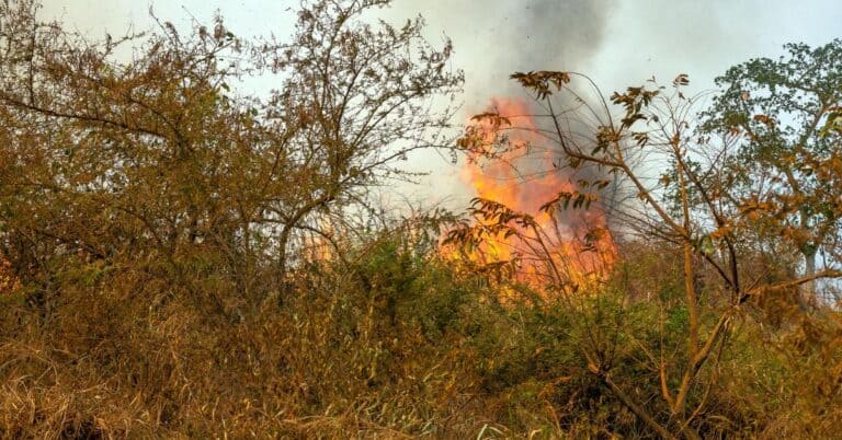 Incendie / Feu