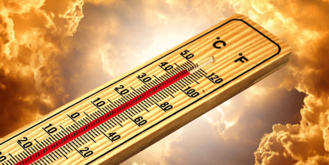 météo canicule