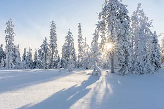 neige météo